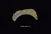 陶罐藏品圖，第2張